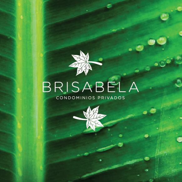 Branding Brisabella creatividad Estallido Digital